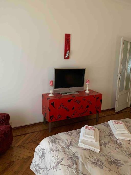 Accogliente Trilocale In Gran Madre Daire Torino Dış mekan fotoğraf
